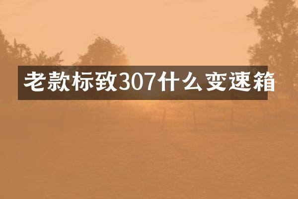 老款标致307什么变速箱