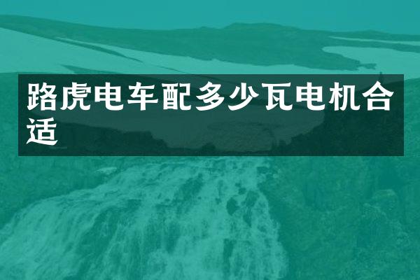路虎电车配多少瓦电机合适