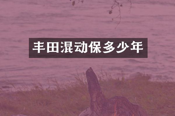 丰田混动保多少年
