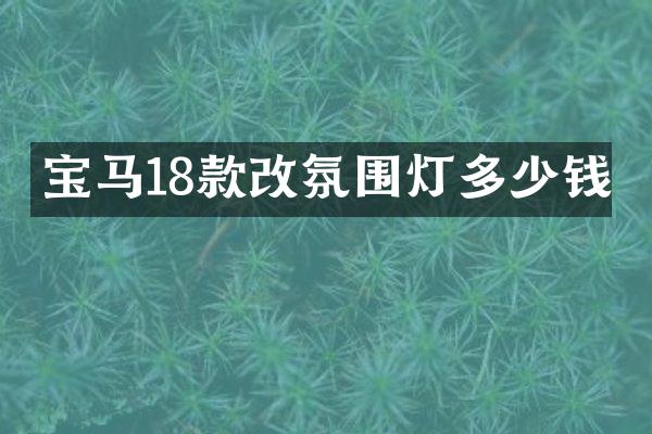 宝马18款改氛围灯多少钱