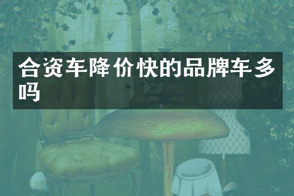 合资车降价快的品牌车多吗