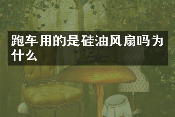 跑车用的是硅油风扇吗为什么