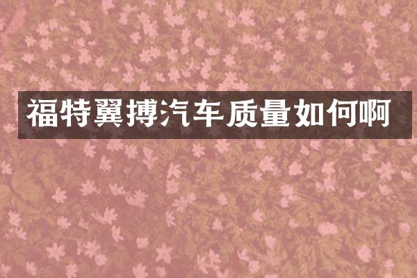 福特翼搏汽车质量如何啊