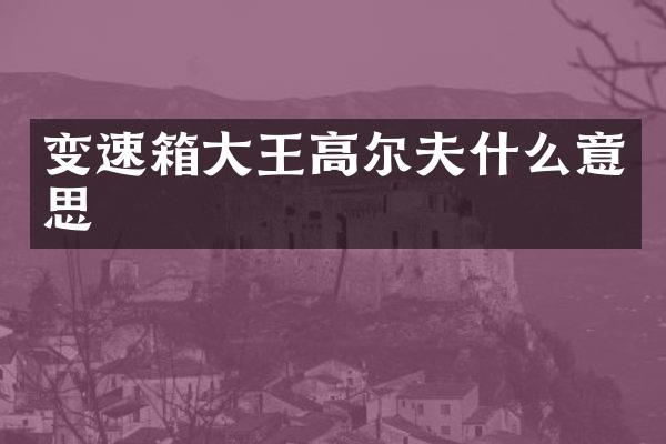 变速箱大王高尔夫什么意思