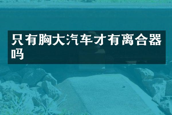 只有胸大汽车才有离合器吗