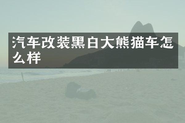 汽车改装黑白大熊猫车怎么样