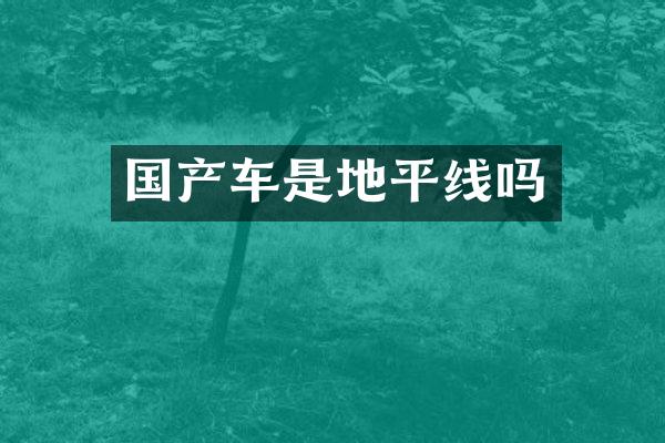 国产车是地平线吗