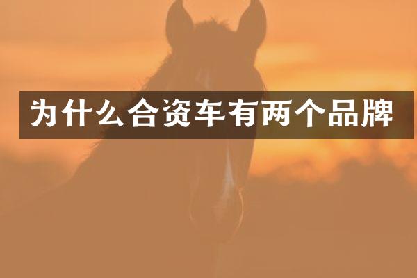 为什么合资车有两个品牌