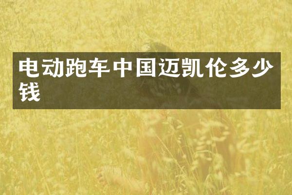 电动跑车中国迈凯伦多少钱