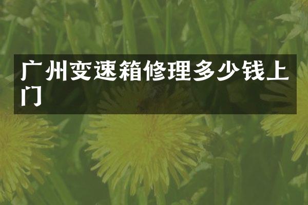 广州变速箱修理多少钱上门