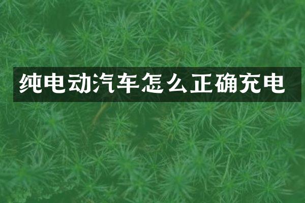 纯电动汽车怎么正确充电