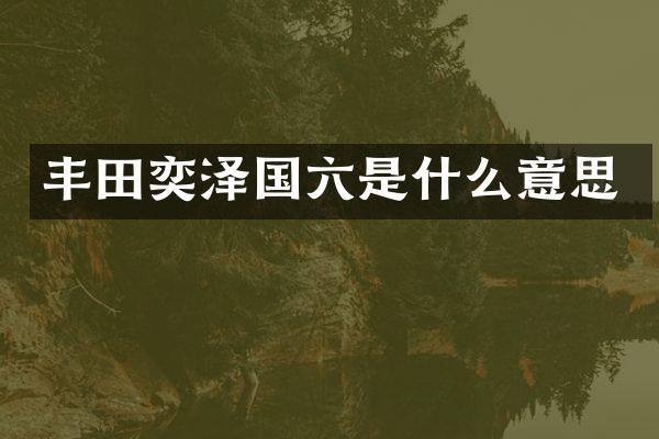 丰田奕泽国六是什么意思