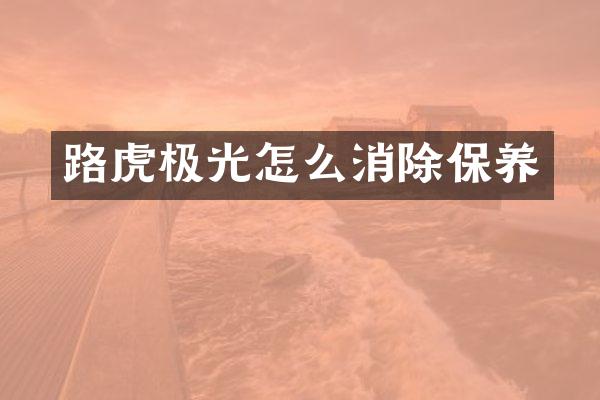 路虎极光怎么消除保养