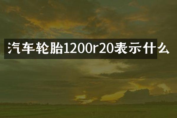 汽车轮胎1200r20表示什么