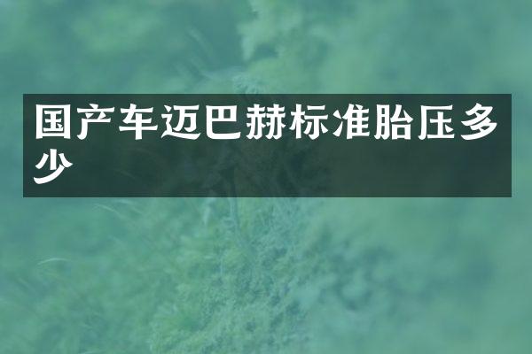 国产车迈巴赫标准胎压多少