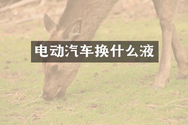 电动汽车换什么液