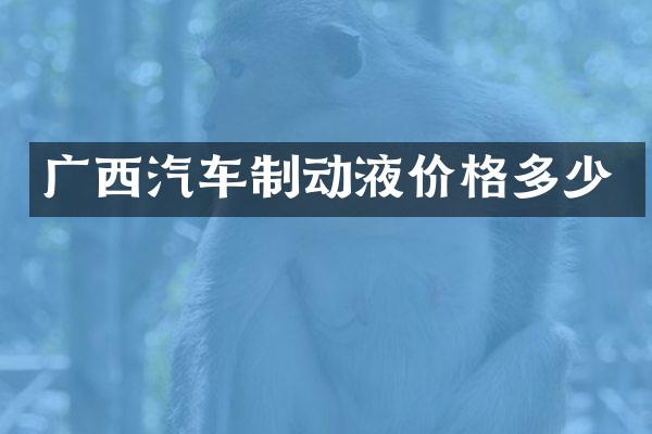 广西汽车制动液价格多少