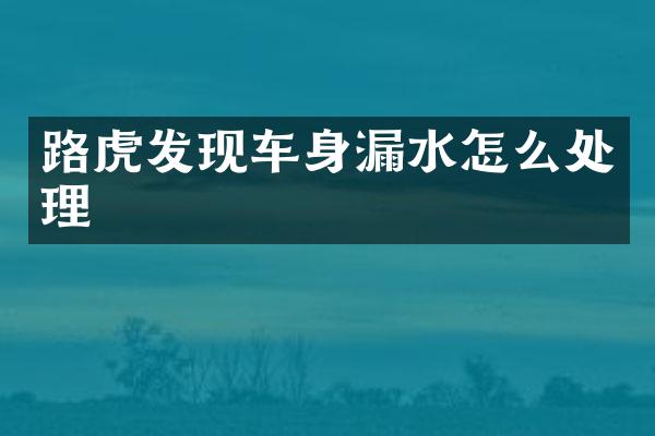 路虎发现车身漏水怎么处理