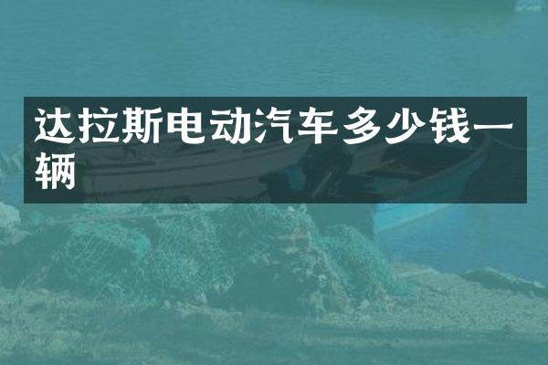 达拉斯电动汽车多少钱一辆