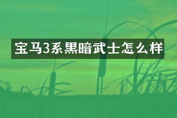 宝马3系黑暗武士怎么样