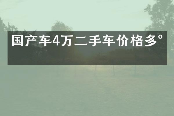 国产车4万二手车价格多少