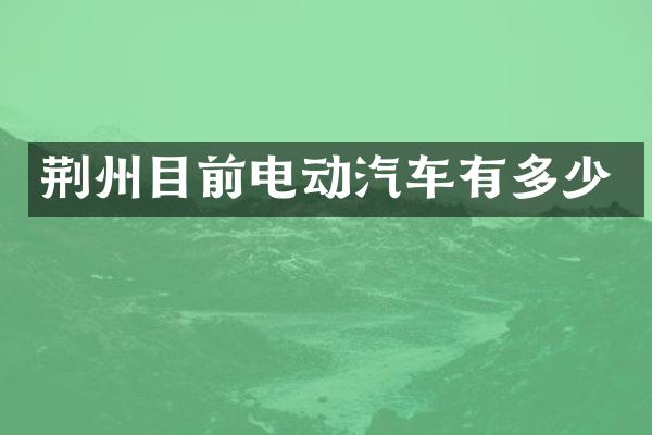 荆州目前电动汽车有多少