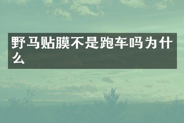 野马贴膜不是跑车吗为什么