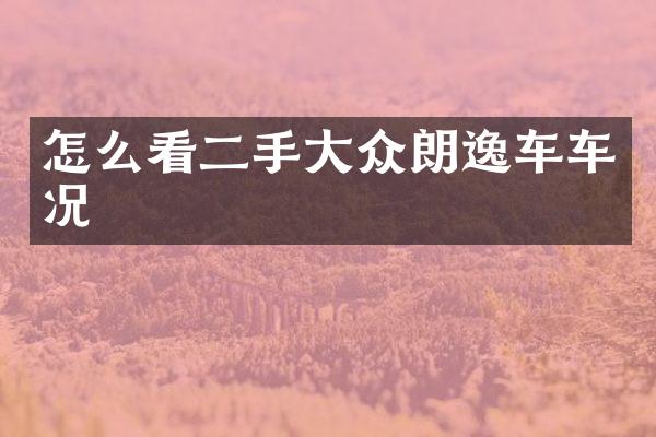 怎么看二手大众朗逸车车况