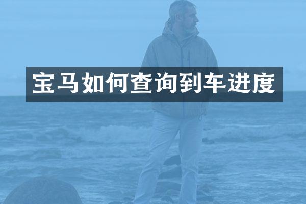 宝马如何查询到车进度