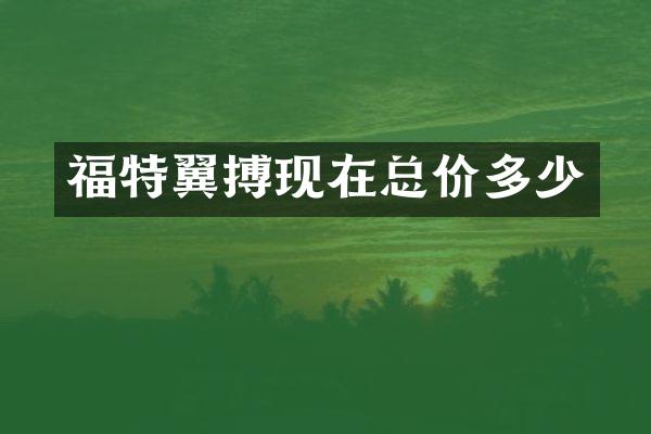 福特翼搏现在总价多少