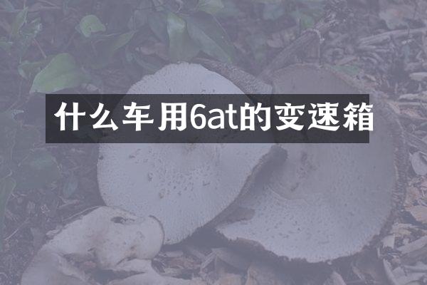 什么车用6at的变速箱