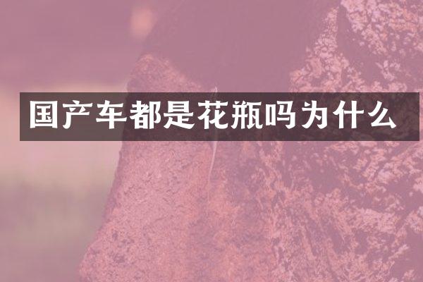 国产车都是花瓶吗为什么