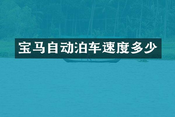 宝马自动泊车速度多少