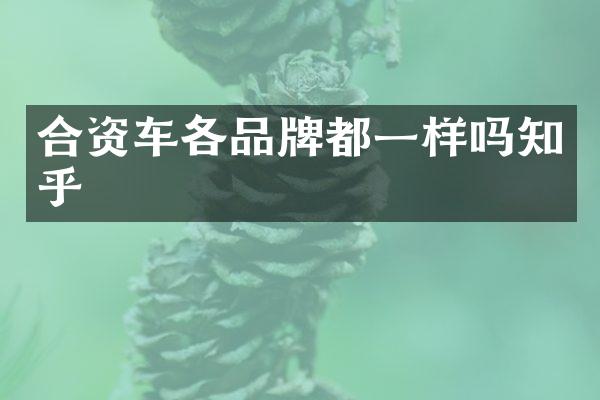 合资车各品牌都一样吗知乎