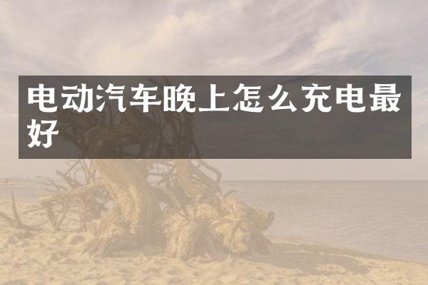 电动汽车晚上怎么充电最好