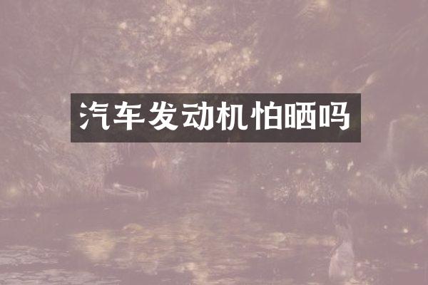 汽车发动机怕晒吗
