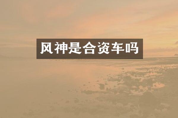 风神是合资车吗