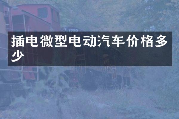 插电微型电动汽车价格多少