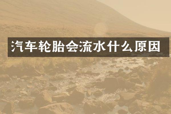 汽车轮胎会流水什么原因