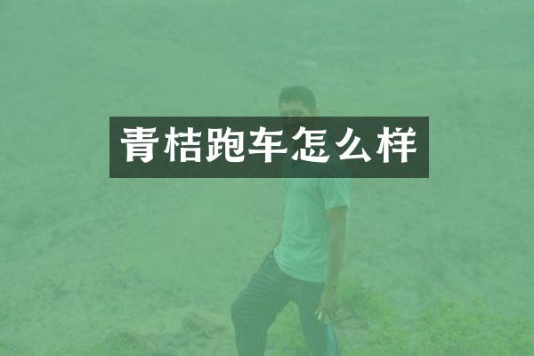 青桔跑车怎么样