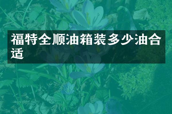 福特全顺油箱装多少油合适
