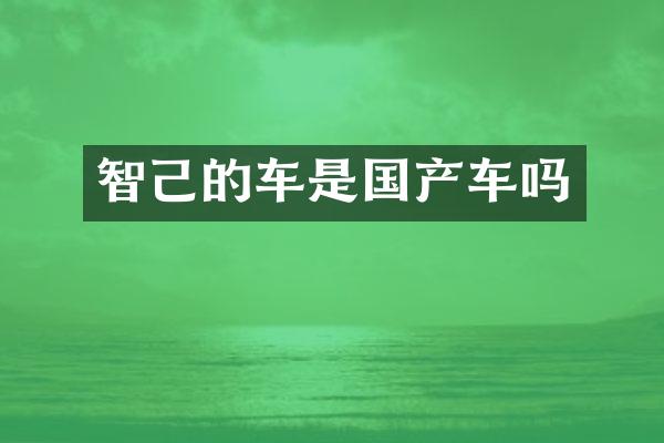 智己的车是国产车吗