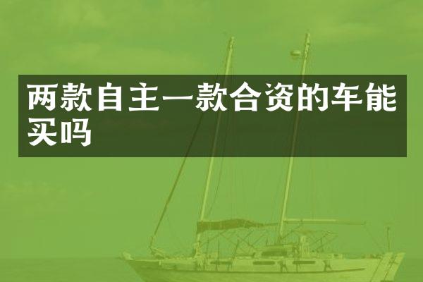 两款自主一款合资的车能买吗