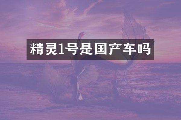 精灵1号是国产车吗