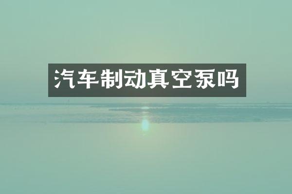 汽车制动真空泵吗