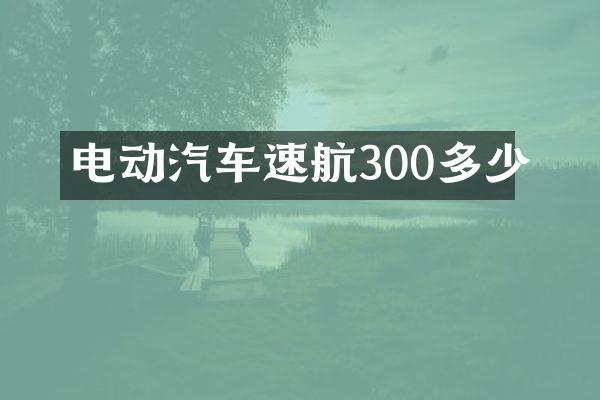 电动汽车速航300多少
