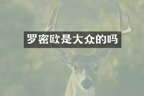 罗密欧是大众的吗
