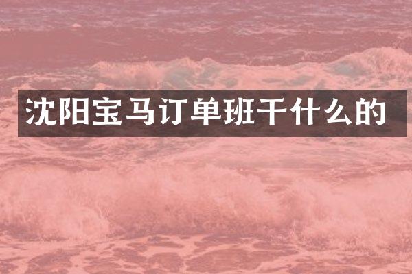 沈阳宝马订单班干什么的