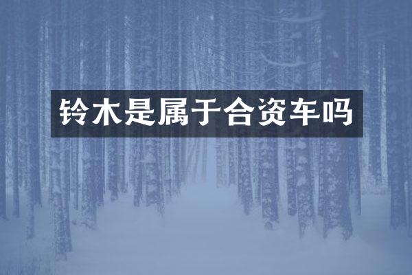 铃木是属于合资车吗