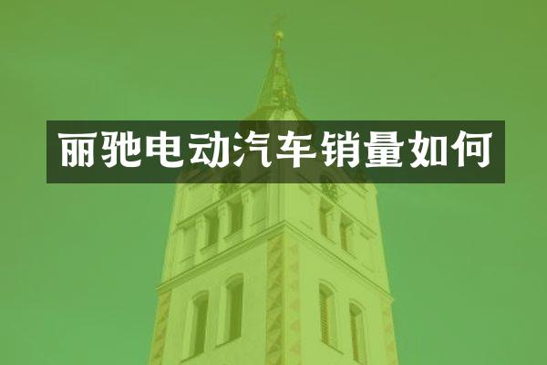 丽驰电动汽车销量如何
